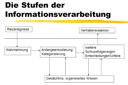 Stufen von Informationsverarbeitung